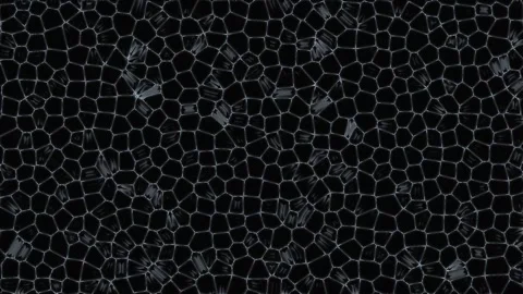 Dark Abstract Textured Background with Subtle Organic Pattern and Deep Contra Video stock 342507806
