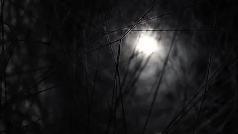 Dark abstract web of tangled threads illuminated by a mysterious light source. T Stock Footage 304358116