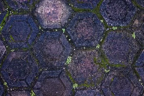 Dark aged paving pattern with moss for urban texture background Foto stock