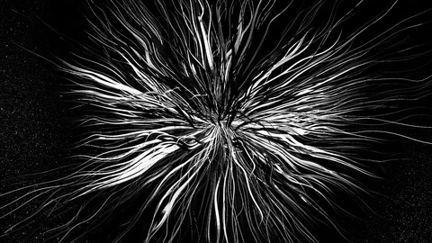 Dark ambiental background 24 Stock Footage 71671311