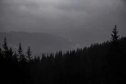 Dark and brooding landscape with a distant, foggy horizon. A misty, moody l.. Stock Photos