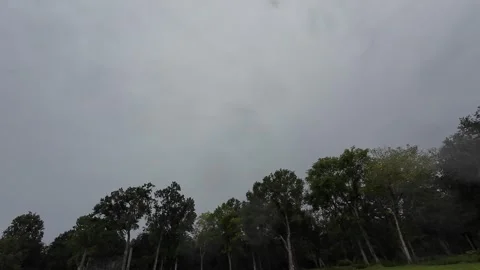Dark And Gloomy Tree Lined Sky During A Light Rain Storm, 4K Video stock 248475692
