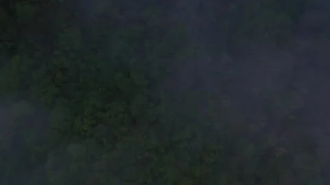 Dark and gritty aerial view of a tropical forest covered in fog Video stock 336868699