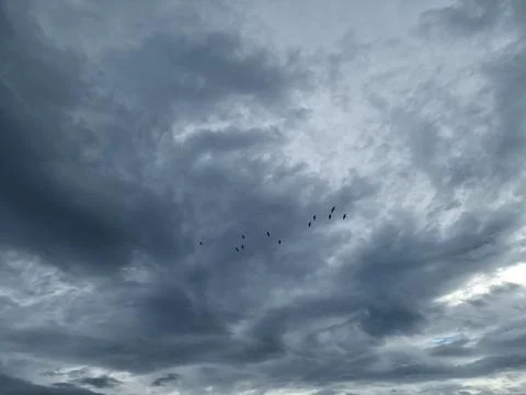 Dark and Heavy Cloudscape with Small Birds in Flight Approaching Bad Weather Stock Photos