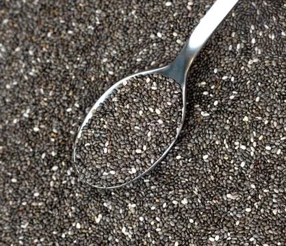 Dark and light colored chia seeds in metal spoon Stock Photos