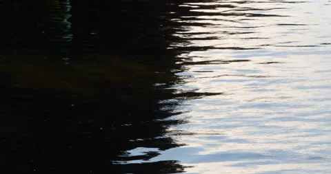 Dark and light reflection on water Stock Footage 205802836