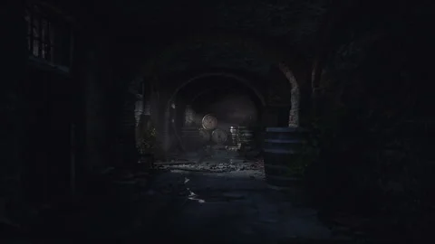 Dark and mysterious underground corridor with barrels and water reflections Vídeos de archivo 304519465