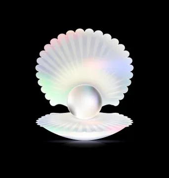Dark and shell Stock Illustration