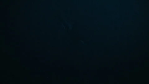 Dark Arctic Ocean Underwater with Soft Surface Glow Vidéo 334334437