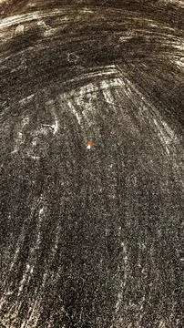 Dark asphalt pavement conceptually with one small red berry conceptually. 스톡 사진