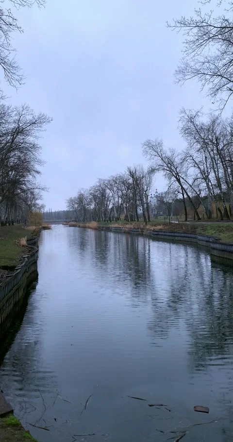 Dark autumn forest reflection in the lake. Rain in park sadly atmosphere.. Stock Footage 303350575