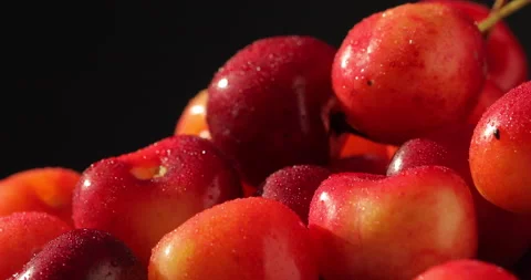 Dark Background Close Up of Rotating Two Tone Cherries Vidéo 135639456