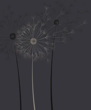 Dark background with dandelion flower Stock Illustration