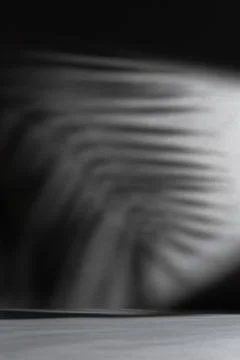 Dark background with dramatic palm leaf shadows, tropical abstract texture, m Stock Photos