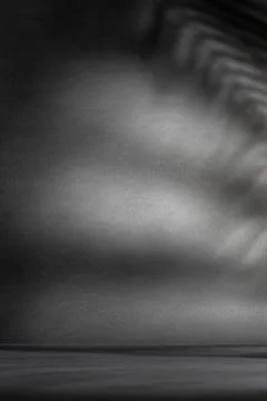 Dark background with dramatic palm leaf shadows, tropical abstract texture, m Stock Photos