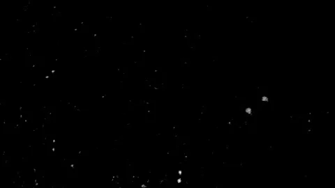 Dark background with falling snow Stock Footage 341317187