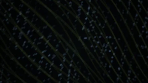 Dark background with green blue dots. Stock Footage 340004361