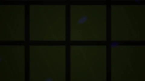 Dark background with grid lines and blue dots. Stock Footage 337457109
