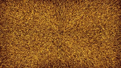 On a dark background, many golden particles , they glow and move randomly.The Stock Footage 274159871