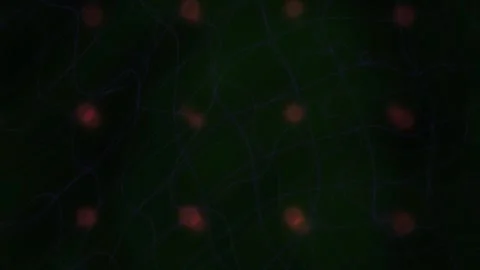 Dark background with red dots pattern. Stock Footage 334185095