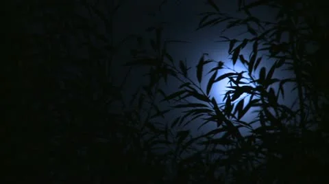 Dark background right - HD Stock Footage 22111046