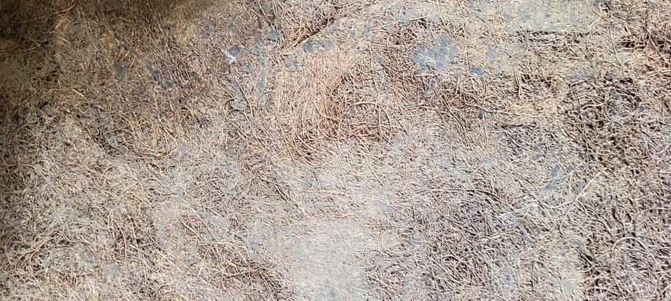 Dark background with rustic texture Foto stock