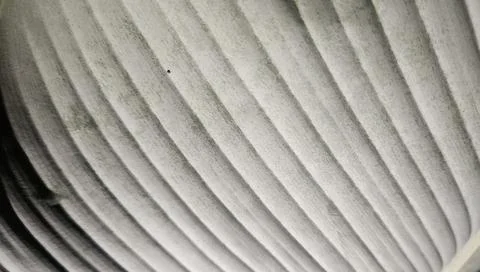 Dark background with shadows and texture Stock Photos