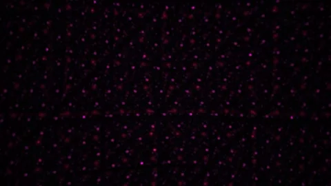 Dark background with small colorful dots. Stock Footage 335350878