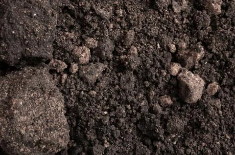 Dark background with soil texture Foto stock