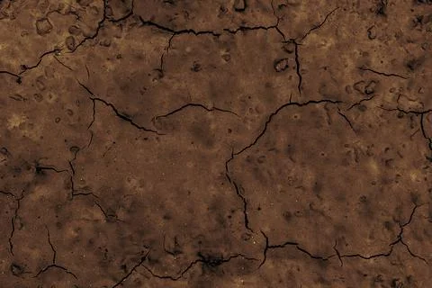 Dark background texture brown soil in cracks 写真素材