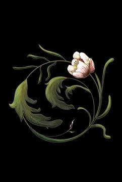 On a dark background there is an elegant composition of a flower and leaves i Stock Illustration
