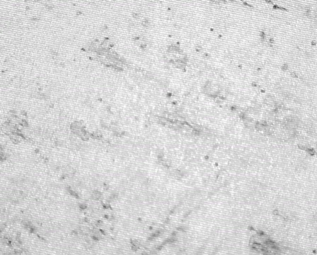 Dark Bacteria Видео 105021