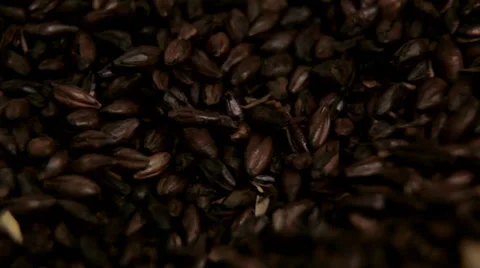 Dark barley hd Stock Footage 39797614