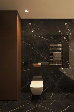 Dark bathroom interior with black marble and white toilet. Minimalist design Stock Illustration