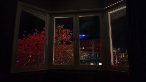 Dark Bay Window View of Red Trees and Nighttime City Lights Vidéo 347682312