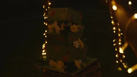 In the dark, a beautiful wedding cake decorated with fresh flowers Stock Footage 259061655