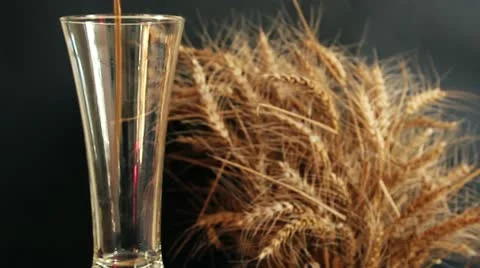 Dark beer and rye Stock Footage 21253758