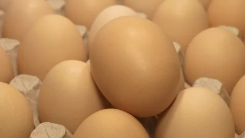 Dark beige chicken eggs in a tray Stock Footage 310251013