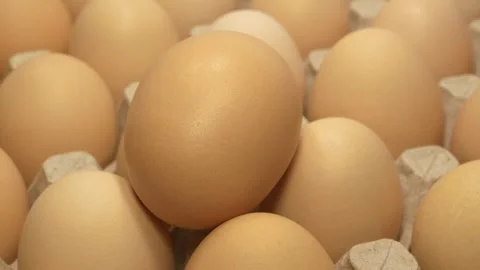 Dark beige chicken eggs in tray Stock Footage 310737757