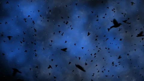 Dark Bird Silhouettes Flock Flying Against Dramatic Blue Cloudy Sky At Night Stock Footage 335165543