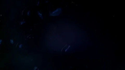 Dark black and purple empty void 3 vibrant bright paint and oil color swirls Stock Footage 81989711