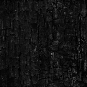 Dark black background of rough burnt wood, soot, and ash. Burn texture. Sea.. Stock Illustration