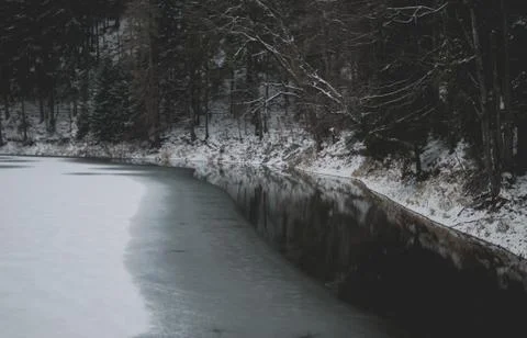 Dark black dry branches of tree interwoven upon murky clean water of mountain Foto stock