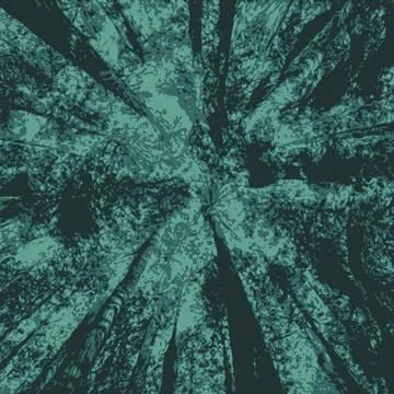 Dark Black Green Forest Trees Nature Abstract Illustration Cold Horrible Wallpap Stock Illustration
