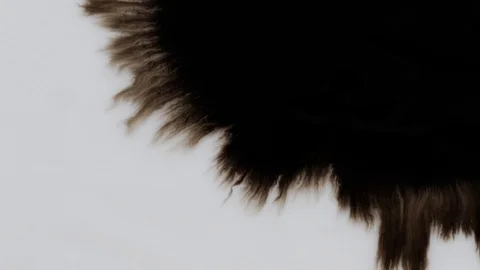 Dark black ink bleeding over white background. Natural effect of flowing black. 스톡 동영상 90814714