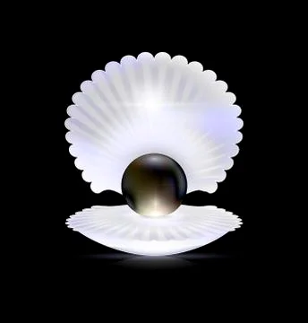 Dark, black pearl and shell Stock Illustration