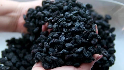Dark black raisins sort by hand examine buy raisins slowly rotating in wooden Stock-Footage 314320592