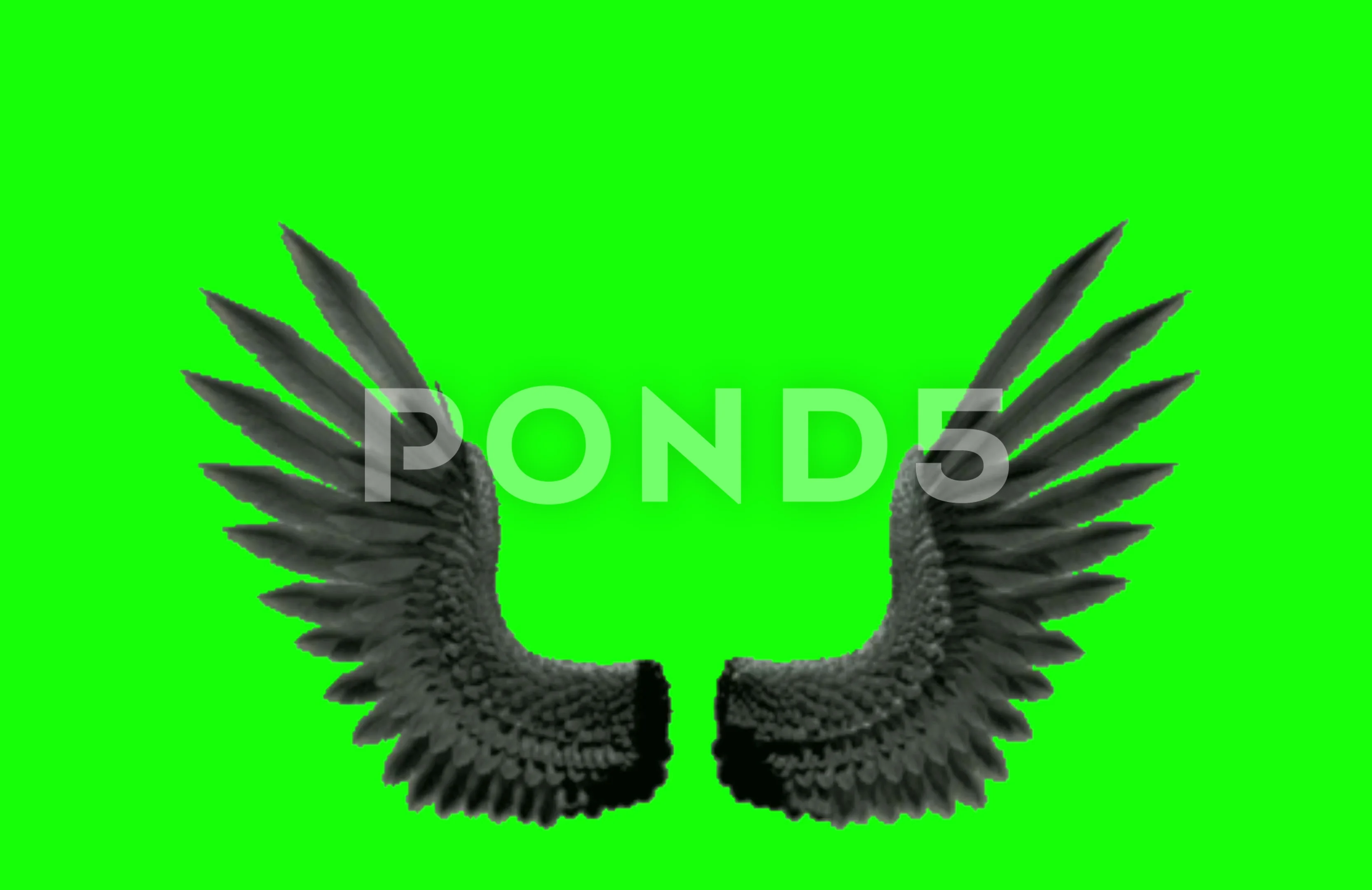 dark black real angel wings, loops, fant... | Stock Video | Pond5