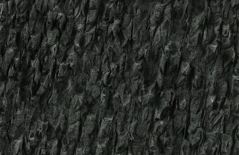 Dark black rough tree bark or charred wood texture background. 스톡 일러스트