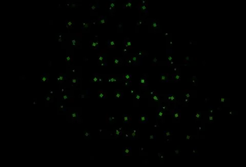 Dark Black vector layout with circles, lines, rectangles. 스톡 일러스트